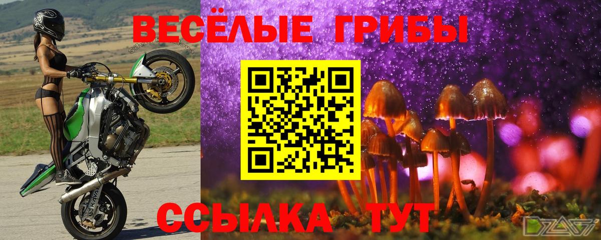 Славянск-на-Кубани  Галлюциногенные грибы GOLDEN TEACHER  Вход с VPN 